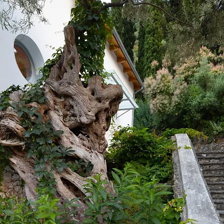 Ionian Dream Villa Frinion