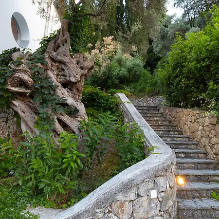 Ionian Dream Frinion