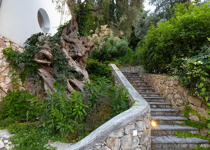 Ionian Dream Φρύνι